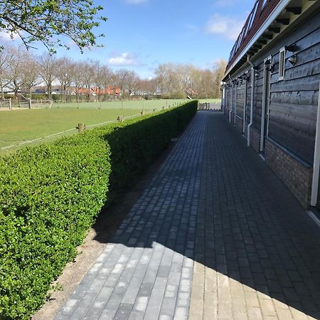 Vakantiewoningen De Schelp Renesse Esterno foto