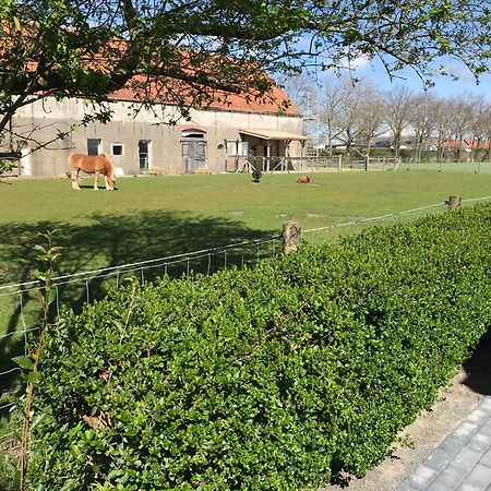 Vakantiewoningen De Schelp Renesse Esterno foto