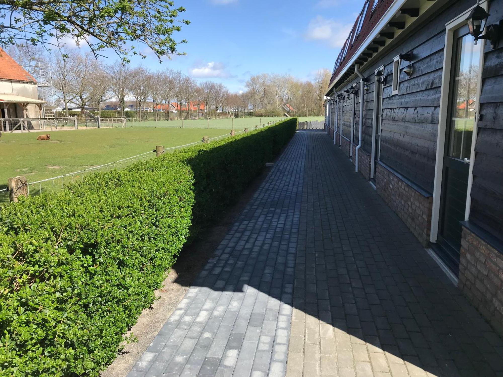 Vakantiewoningen De Schelp Renesse Esterno foto