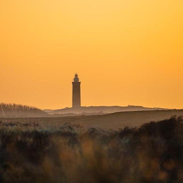 Vakantiewoningen De Schelp Renesse Esterno foto