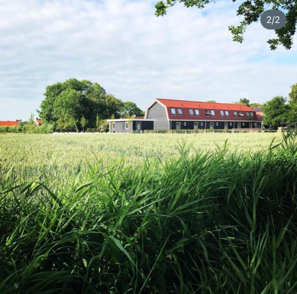 Vakantiewoningen De Schelp Renesse Esterno foto