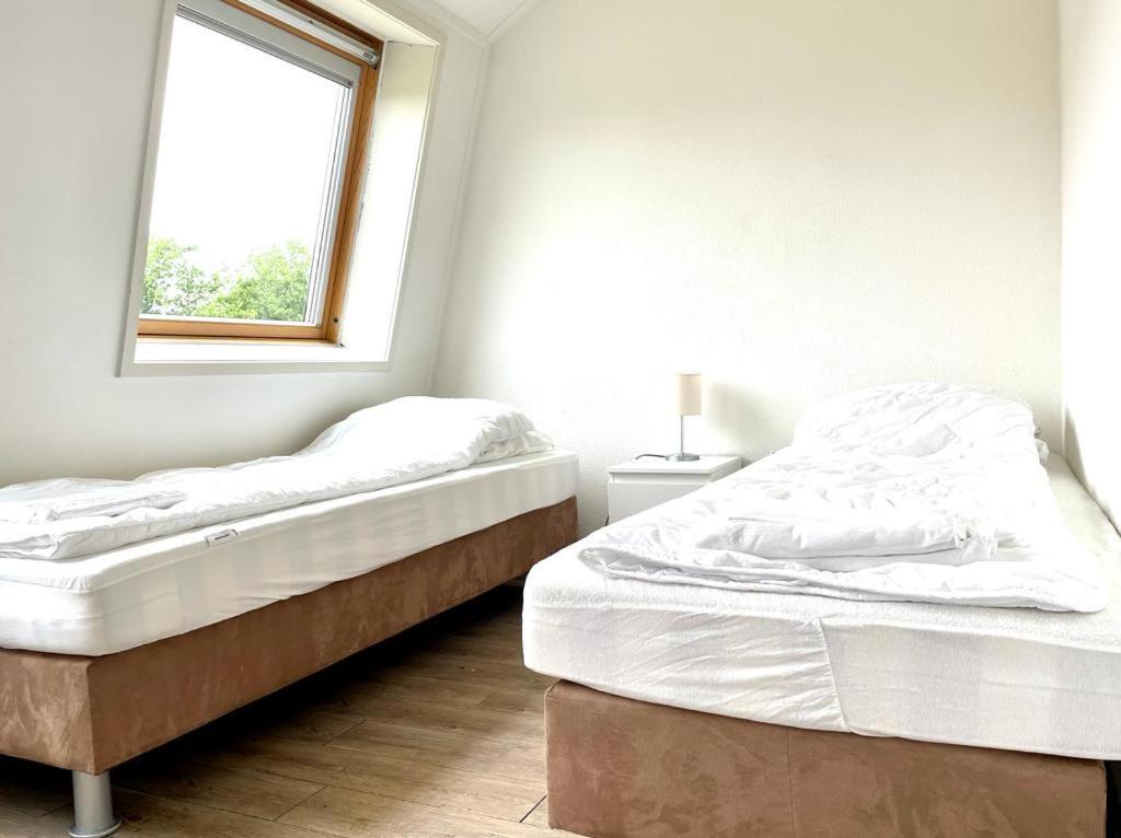 Vakantiewoningen De Schelp Renesse Esterno foto