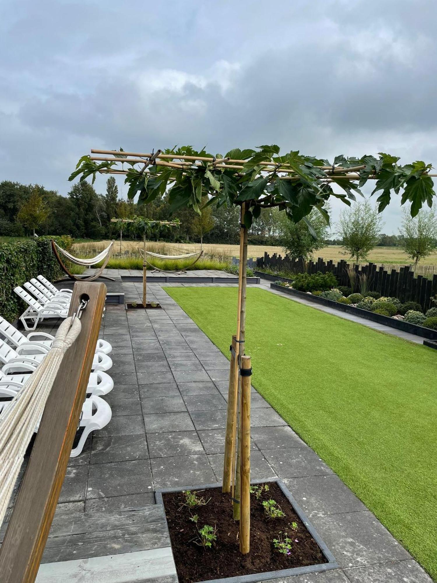Vakantiewoningen De Schelp Renesse Esterno foto